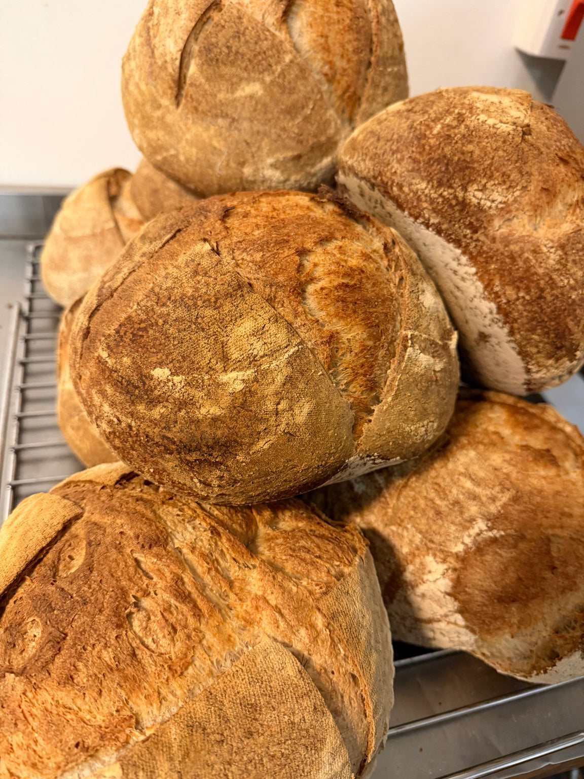 Fresh sourdough loaves cooling together