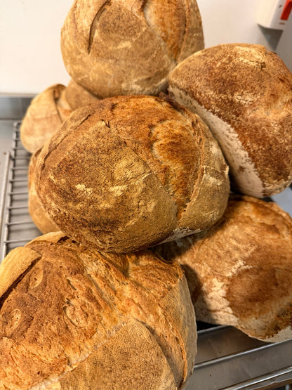 Fresh sourdough loaves cooling together